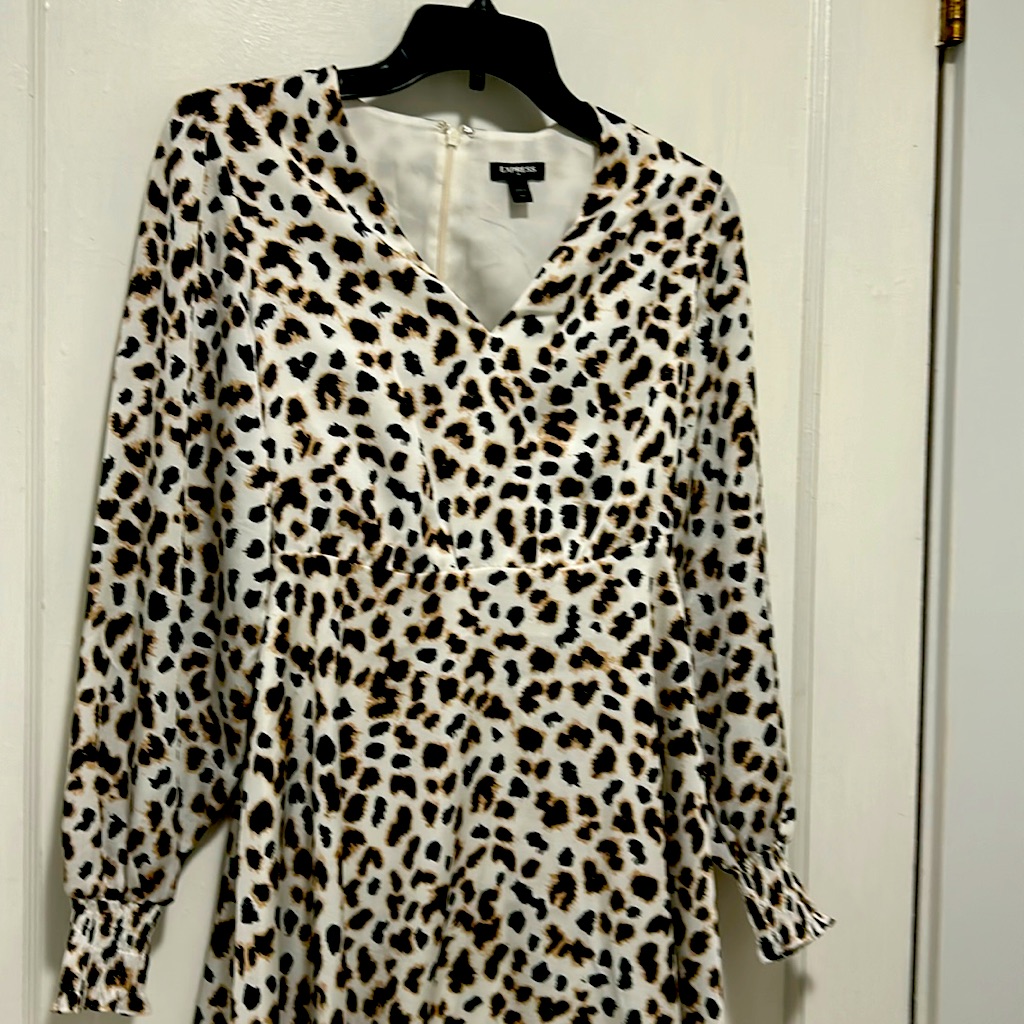 Nwot Express Animal Print V Neck Dress Size Xxs